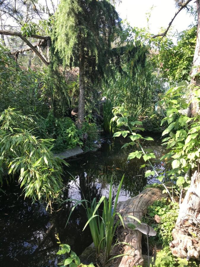 Wohnen Im Eulengarten Oranienburg Buitenkant foto