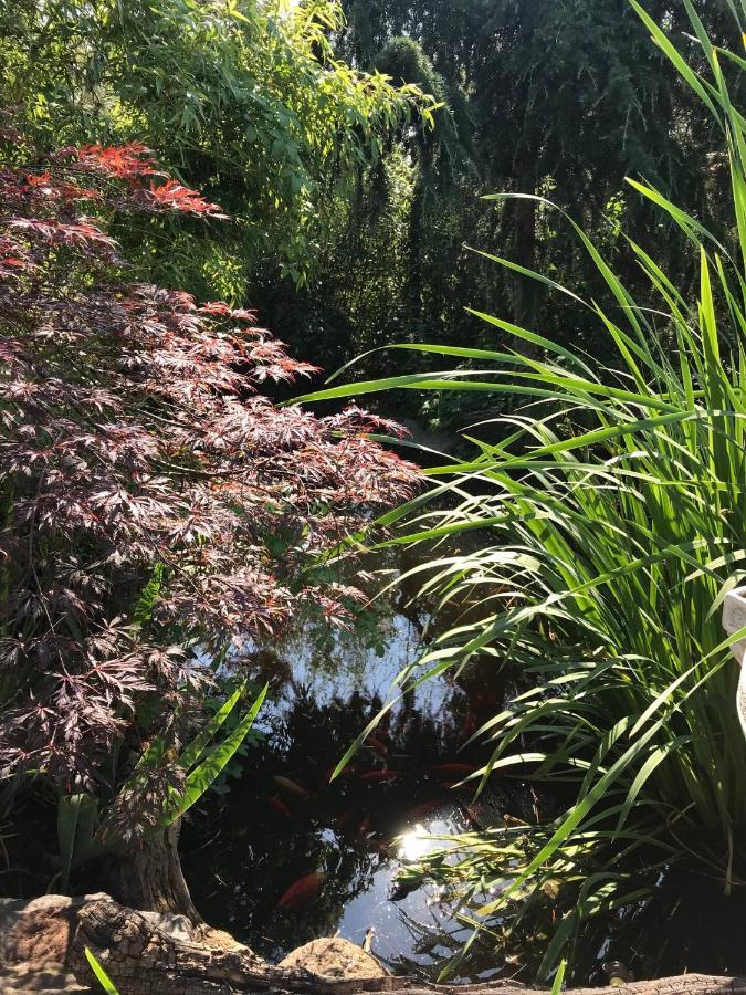 Wohnen Im Eulengarten Oranienburg Buitenkant foto