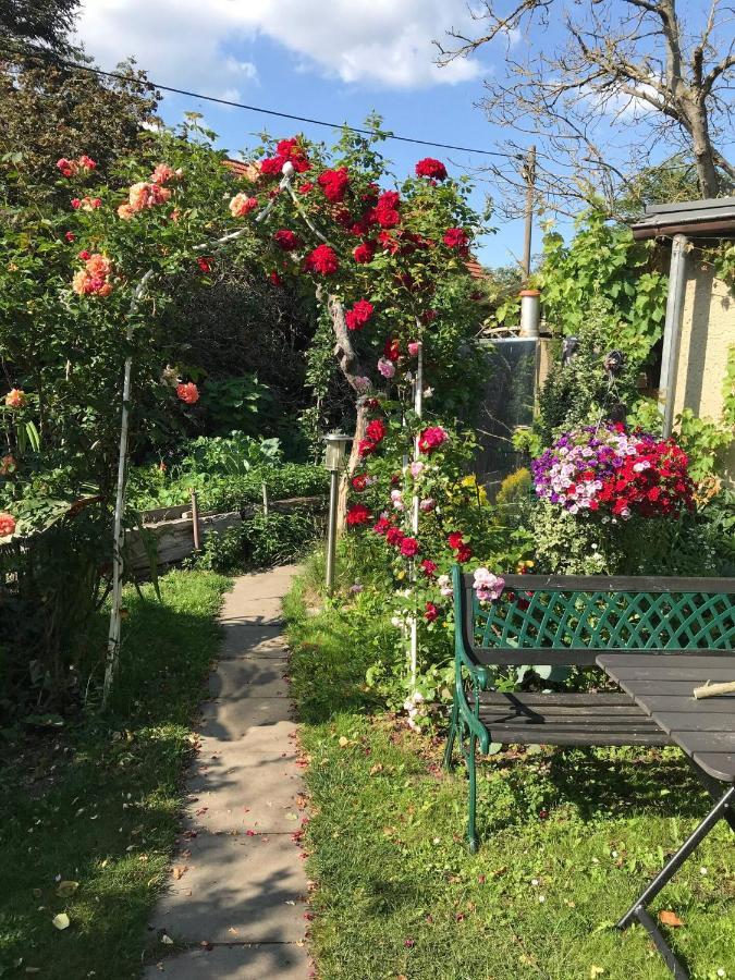 Wohnen Im Eulengarten Oranienburg Buitenkant foto